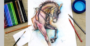 Tranh vẽ ngựa với Chì Màu Nước Albrecht Durer
