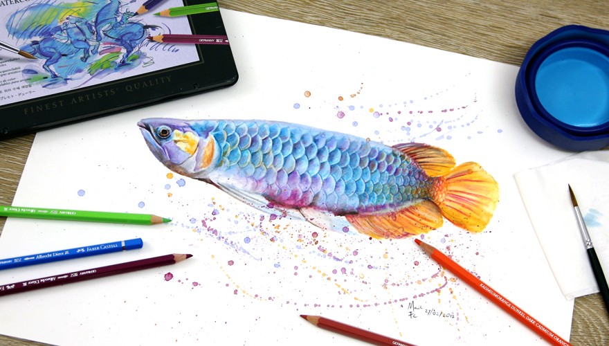 Vẽ chú cá xanh với bút chì màu nước Albrecht Durer