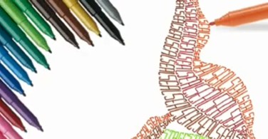 Kỹ thuật tô màu Lettering với Bút Lông Màu Connector